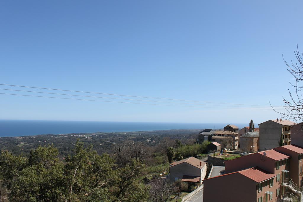 Villa Petrera Valle-di-Campoloro Zewnętrze zdjęcie